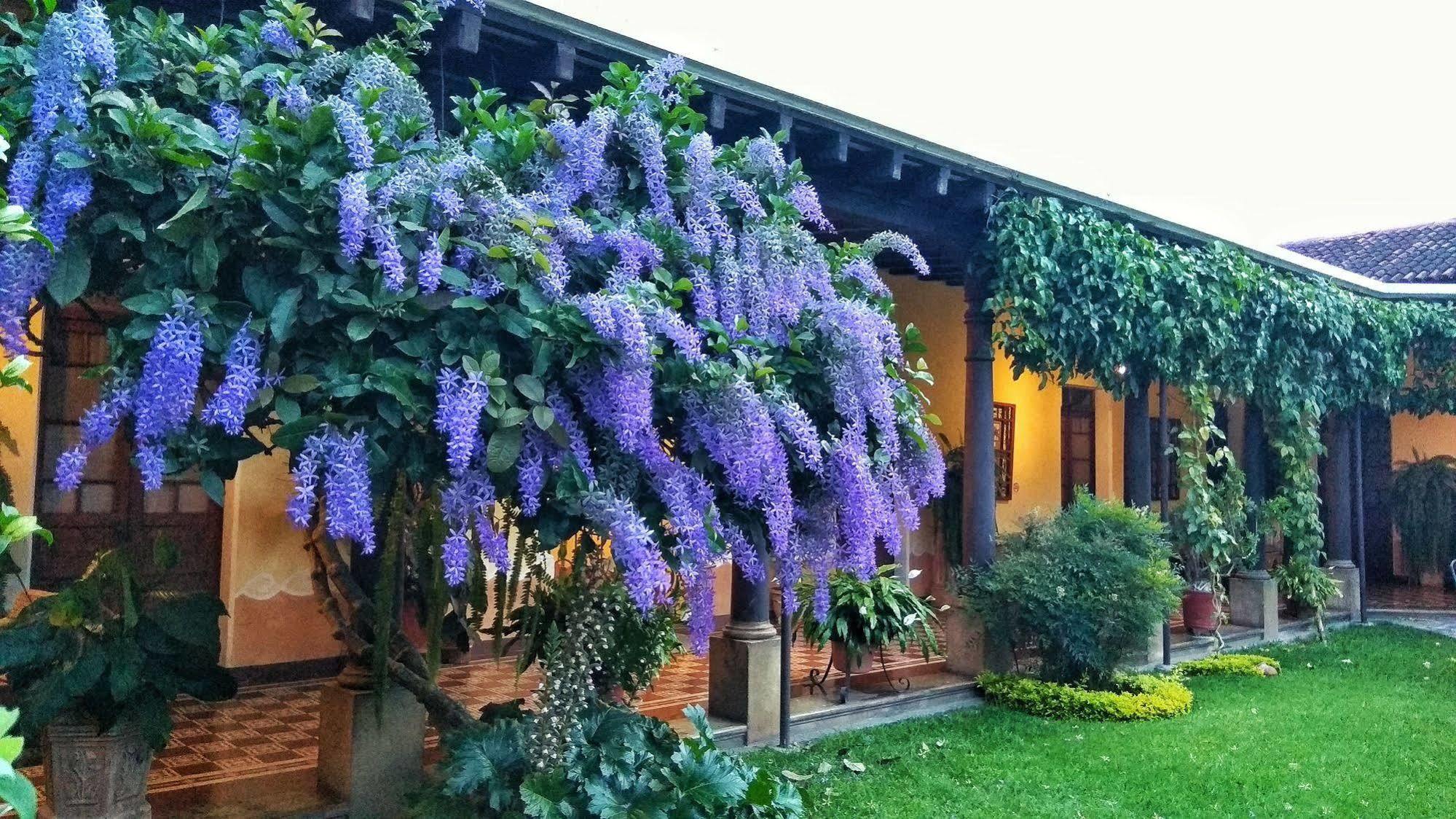 Hotel Aurora Antigua Kültér fotó